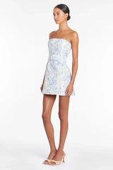 Fae Dress in Toile Brocade