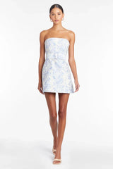 Fae Dress in Toile Brocade