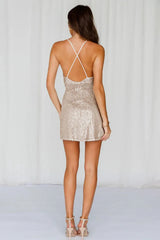 Shimmy Dance Sequin Dress